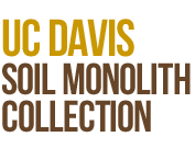 UC Davis Soil Monolith Collection